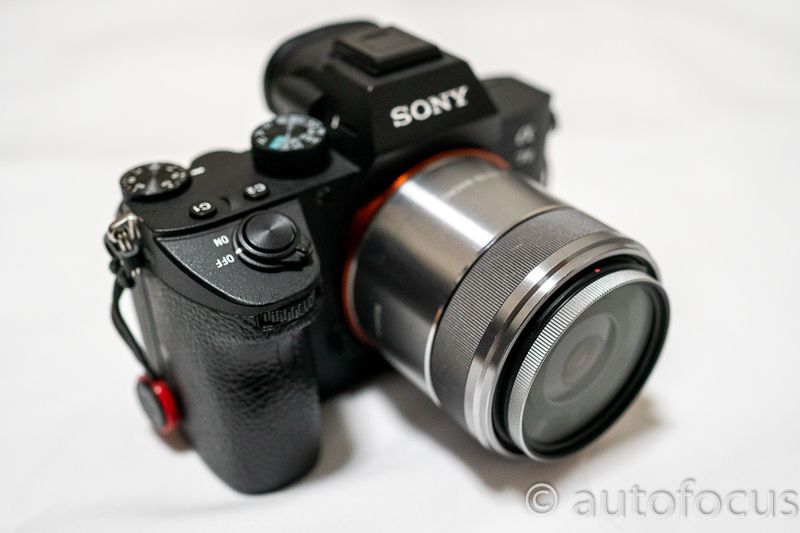 カメラ デジタルカメラ E30mm F3.5 Macro作例付きレビュー！ブログに最高のマクロレンズだ